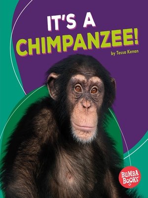 cover image of It's a Chimpanzee!